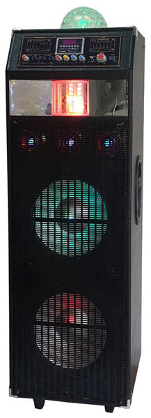 Picture of 2X12" Pro PA Speaker with Fog