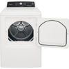 Picture of 6.7 cu. ft. Large Capacity Dryer