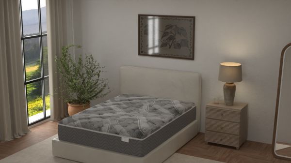 Picture of Raleigh - Firm