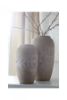 Picture of Dimitra - Cream 2PC Vase Set
