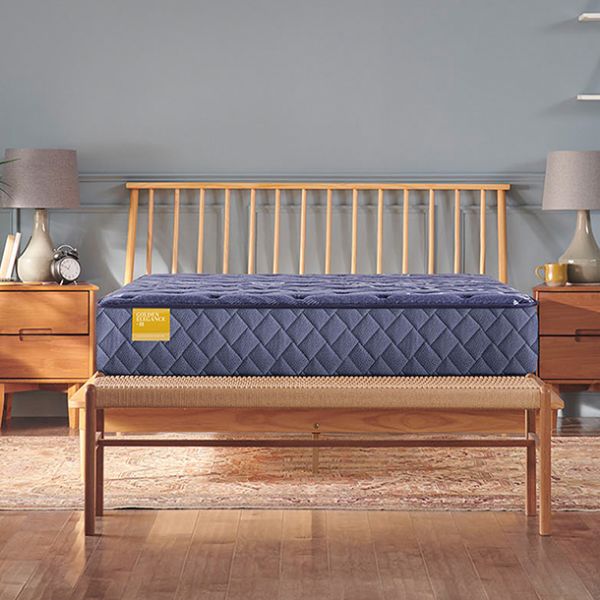 Picture of Forsyth Park - Medium