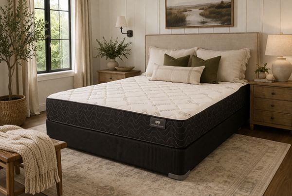 Picture of Charlotte - Plush