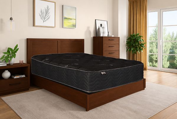 Picture of Sumter - Soft Plush Pillow Top with Cooling Cover